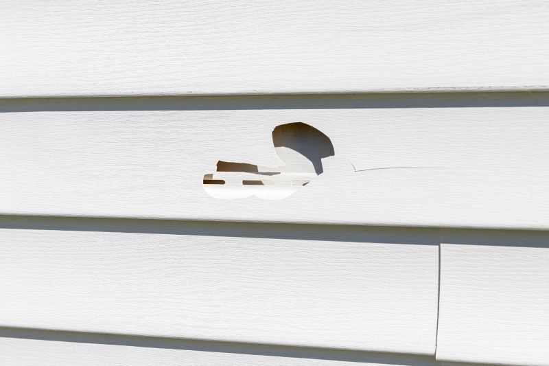 Siding Repair on a Home